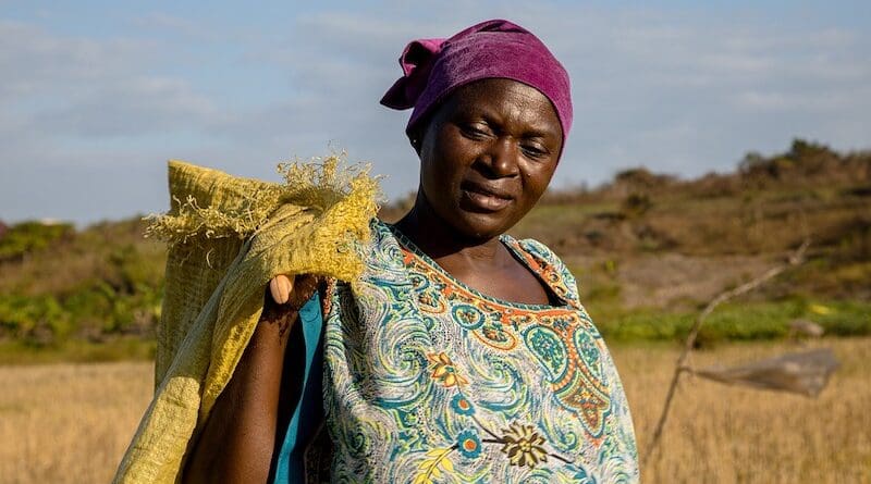 africa woman rice farmer