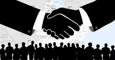 cooperation horn of africa handshake