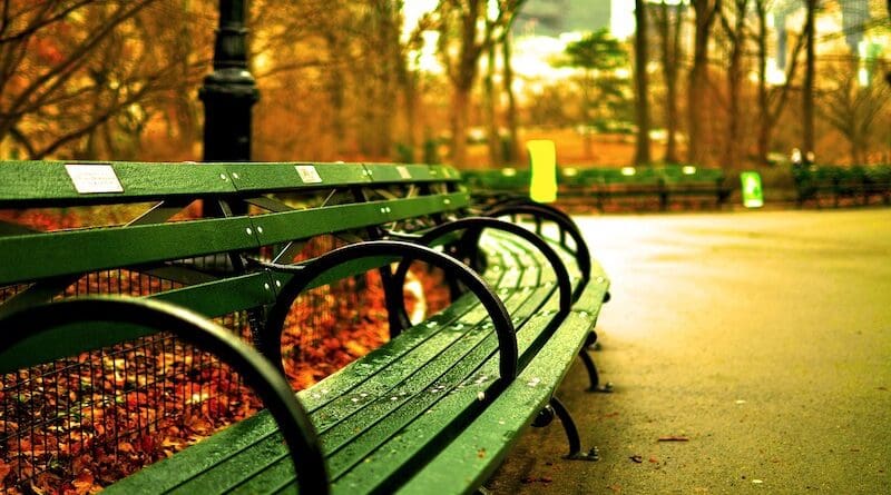 park city bench trees