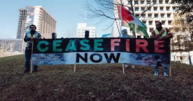 palestine palestinian gaza ceasefire israel protest demonstration