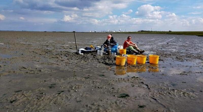 Taking water samples from the erosion experiment in the Oosterschelde. In the photo Alena di Primio and Dunia Rios-Yunes. Credits: Tim Grandjean