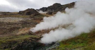 Subarctic grassland undergoing natural geothermal warming in Iceland. CREDIT: C: Christina Kaiser
