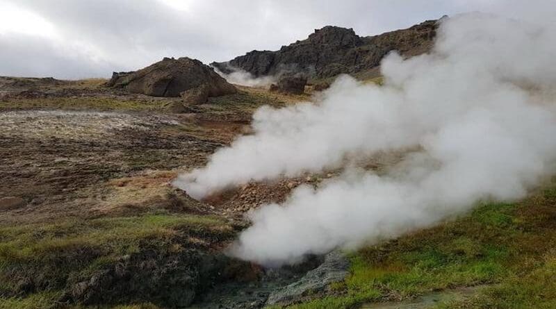 Subarctic grassland undergoing natural geothermal warming in Iceland. CREDIT: C: Christina Kaiser