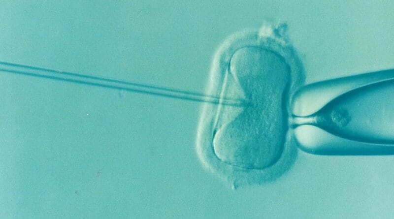 in vitro fertilization (IVF)