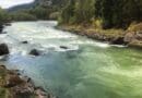 The salmon river Ekso, which clearly has gas-supersaturated water. Photo: Eirik S. Normann, Norce LFI