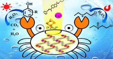 Researchers have developed a new three-dimensional 2-fold interpenetrating polyoxovanadate-based metal-organic framework that shows satisfying catalytic performances for the selective oxidation of 2-chloroethyl ethyl sulfide (CEES) to corresponding sulfoxide (CEESO) and photodegradation toward phenol, 2-chlorophenol and m-cresol under visible light. CREDIT: Polyoxometalates, Tsinghua University Press