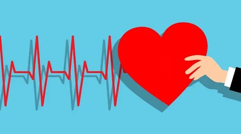 The implications of this work are that pubertal development and its timing should be considered, and potentially targeted, in efforts to improve cardiometabolic health. CREDIT: Mohamed_hassan, Pixabay,