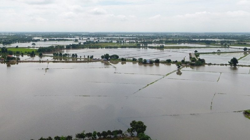 Fields under the water. Floods, tropical cyclones, winter storms and severe thunderstorms –– account for the largest share of economic losses from natural disasters globally, says report. Copyright: Water Alternatives, (CC BY-NC 2.0 DEED).