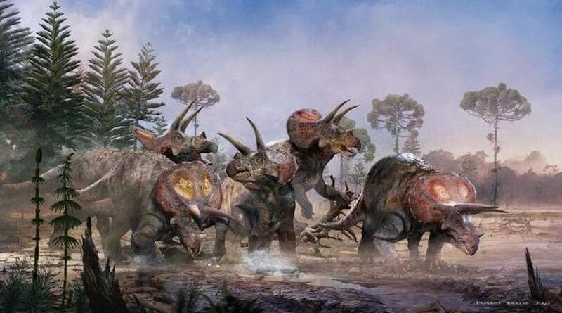 A heard of Triceratops horridus walking through a Cretaceous swamp. CREDIT: Bart Bus