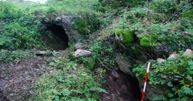 Killuragh Cave, County Limerick, Ireland. CREDIT: Sam Moore and Marion Dowd/Molecular Biology and Evolution