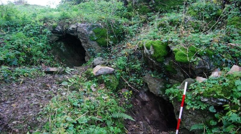 Killuragh Cave, County Limerick, Ireland. CREDIT: Sam Moore and Marion Dowd/Molecular Biology and Evolution