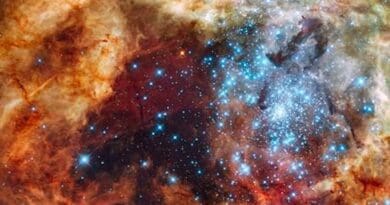 A Hubble Space Telescope image of a star-forming region containing massive, young, blue stars in 30 Doradus, the Tarantula Nebula. Located within the Large Magellanic Cloud, this is one of the regions observed by ULLYSES. Credit: NASA, ESA, STScI, Francesco Paresce (INAF-IASF Bologna), Robert O'Connell (UVA), SOC-WFC3, ESO