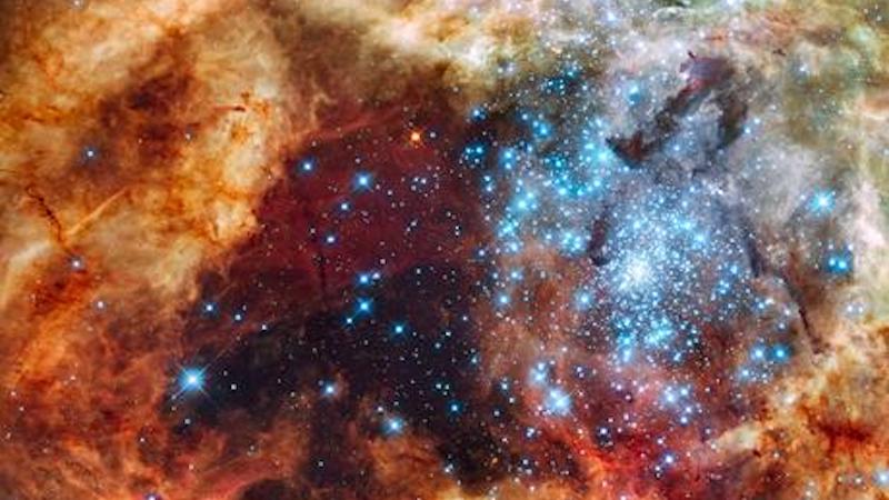 A Hubble Space Telescope image of a star-forming region containing massive, young, blue stars in 30 Doradus, the Tarantula Nebula. Located within the Large Magellanic Cloud, this is one of the regions observed by ULLYSES. Credit: NASA, ESA, STScI, Francesco Paresce (INAF-IASF Bologna), Robert O'Connell (UVA), SOC-WFC3, ESO