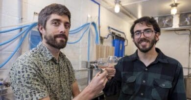 Scott Lafontaine, left, and Bernardo P. Guimaraes each raise a glass of malted rice beer following a year-long study that investigated the suitability of rice for malting and brewing. CREDIT: University of Arkansas System Division of Agriculture photo by Paden Johnson