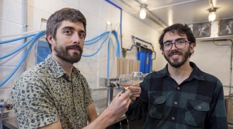 Scott Lafontaine, left, and Bernardo P. Guimaraes each raise a glass of malted rice beer following a year-long study that investigated the suitability of rice for malting and brewing. CREDIT: University of Arkansas System Division of Agriculture photo by Paden Johnson