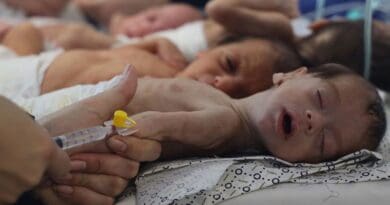 Babies at the Al-Shifa hospital are prepared for evacuation. Photo Credit: UNICEF/Eyad El Baba