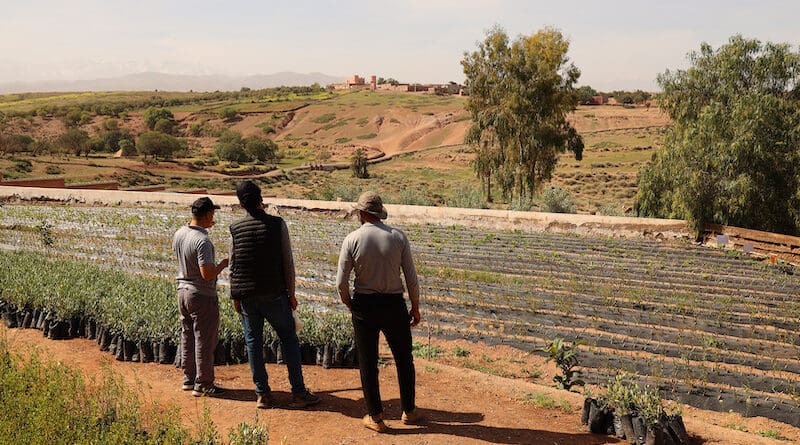 The High Atlas Foundation team at the Akrich nursery (Al Haouz province, Tamslouht commune). Photograph by Aleksandra Jaeschke.