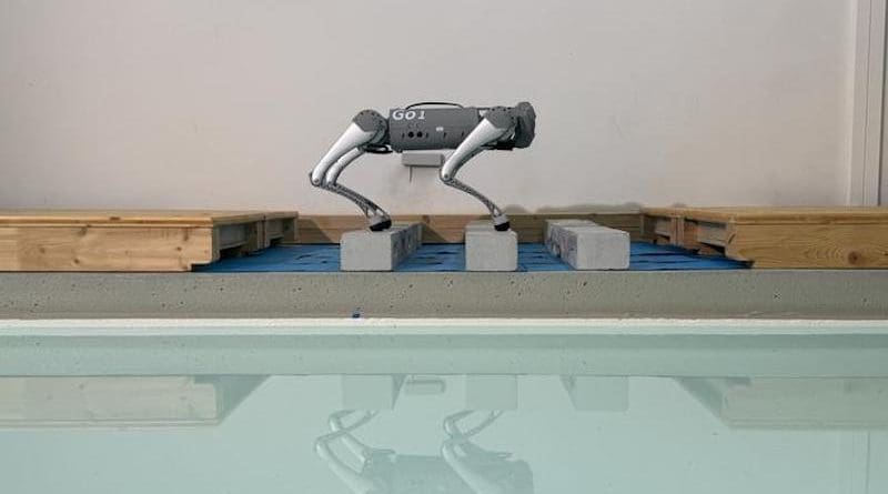 The robot spontaneously switched its gait from trotting to pronking to cross a challenging terrain with gaps Photo Credit: © BioRob EPFL CC BY SA