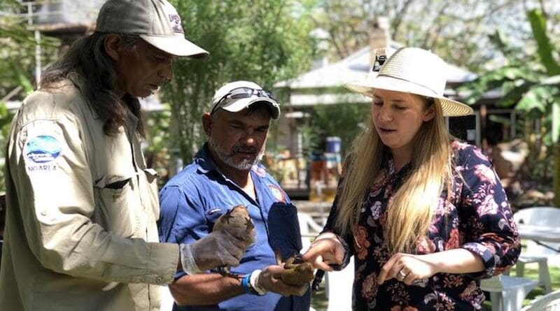 Cane rangers: Dr Ward-Fear and Indigenous Rangers in the Kimberley inspect adult cane toads at the ranger forum put on by the Cane Toad Coalition. Photo: WWF Australia