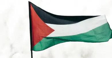 palestine palestinian flag