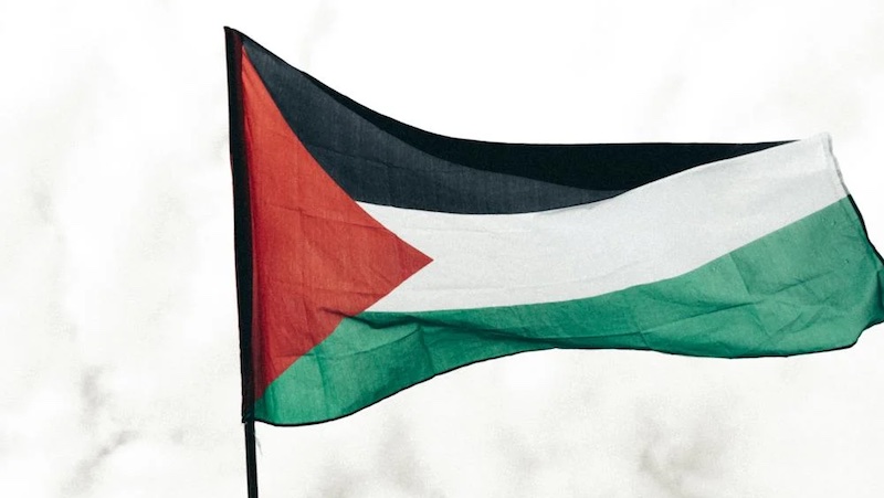 palestine palestinian flag
