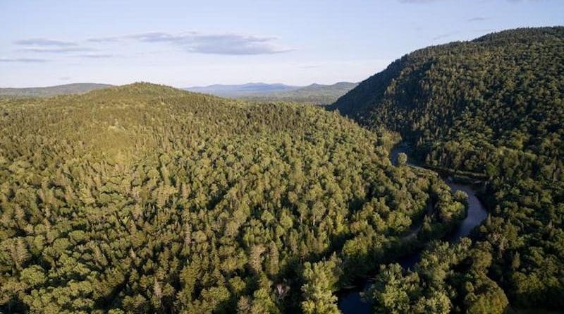 Dartmouth's Second College Grant in northern New Hampshire consists of nearly 27,000 acres of forestland. CREDIT: Photo by Eli Burakian '00 / Dartmouth.