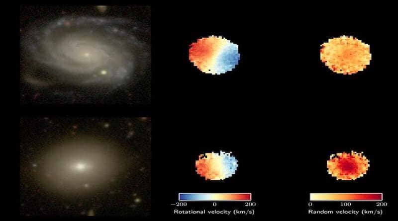 A comparison of a young (top) and old (bottom) galaxy observed as part of the SAMI Galaxy Survey. Panels on the left are regular optical images from the Subaru Telescope. In the middle are rotational velocity maps (blue coming towards us, red going away from us) from SAMI. On the right are maps measuring random velocities (redder colours for greater random velocity). Both galaxies have the same total mass. The top galaxy has an average age of 2 billion years, high rotation and low random motion. The bottom galaxy has an average age of 12.5 billion years, slower rotation and much larger random motion. CREDIT Subaru credit: Image from the Hyper Suprime-Cam Subaru Strategic Program