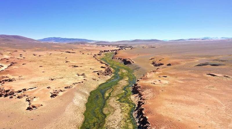 A better understanding of the complex hydrology in arid regions will give environmental managers the information they need to make the best possible decisions. CREDIT: David Boutt