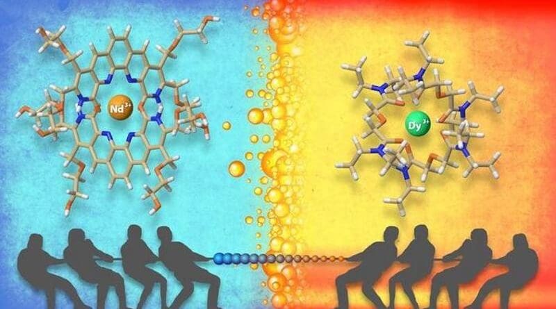 Water-soluble and oil-soluble organic molecules effectively separate different elements in the lanthanide series of the Periodic Table. CREDIT Image courtesy of Adam Malin (with contributions from Santa Jansone-Popova and Alexander Ivanov), Oak Ridge National Laboratory