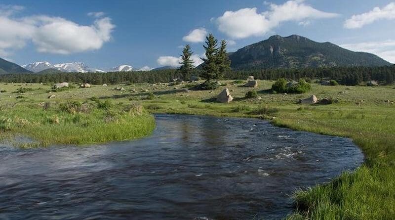 The Big Thompson River in Rocky Mountain National Park. Photo Credit: Colorado State University.