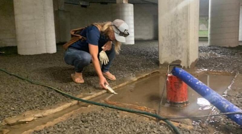 Dr. Shellie Habel of the University of Hawai'i measures the salt concentration of emerging groundwater in a basement in Waikiki. CREDIT: Chloe Obara, University of Hawai'i