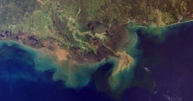 The Mississippi River Delta, showing the sediment plumes from the Mississippi and Atchafalaya Rivers. Photo Credit: NASA, Wikipedia Commons