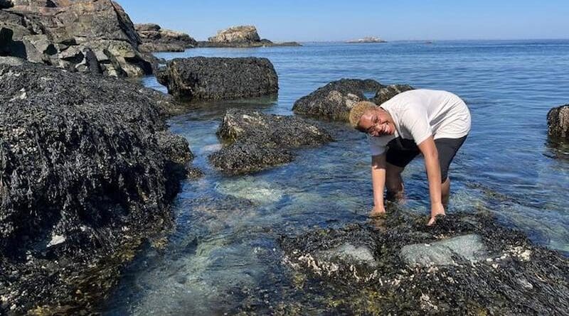 Lead author Leanne Melbourne collecting mussel shells on Canoe Beach in Nahant Bay, Massachusetts. CREDIT: Photo by Maria Rosabelle Ong