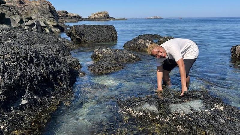 Lead author Leanne Melbourne collecting mussel shells on Canoe Beach in Nahant Bay, Massachusetts. CREDIT: Photo by Maria Rosabelle Ong