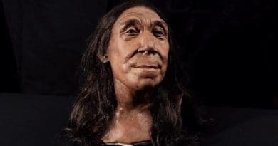 The recreated head of Shanidar Z, made by the Kennis brothers for the Netflix documentary ‘Secrets of the Neanderthals’ based on 3D scans of the reconstructed skull. CREDIT: BBC Studios/Jamie Simonds