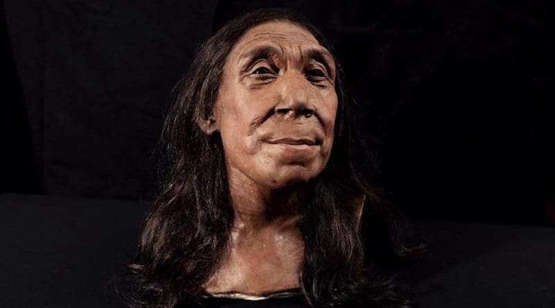 The recreated head of Shanidar Z, made by the Kennis brothers for the Netflix documentary ‘Secrets of the Neanderthals’ based on 3D scans of the reconstructed skull. CREDIT: BBC Studios/Jamie Simonds