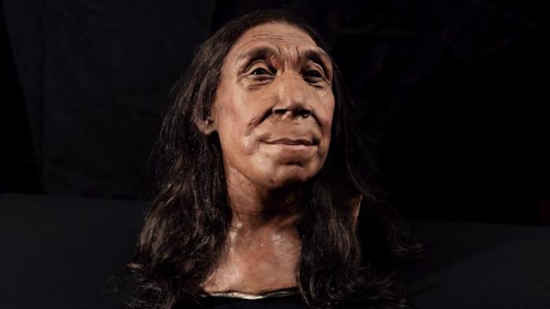 The recreated head of Shanidar Z, made by the Kennis brothers for the Netflix documentary ‘Secrets of the Neanderthals’ based on 3D scans of the reconstructed skull. CREDIT: BBC Studios/Jamie Simonds