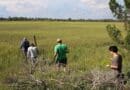 Georgia Tech researchers surveying field sites in the salt marshes of Sapelo Island, Georgia. CREDIT: Georgia Institute of Technology