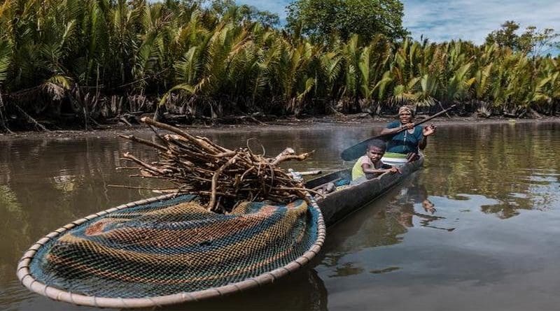 When oil palm plantations degrade water quality, Indigenous Papuans bear the brunt of the effects. CREDIT: WRI Indonesia