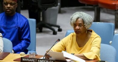 Margaret Kimberley, Executive Editor of Black Agenda Report, was invited to brief the United Nations Security Council. Photo Credit: webtv.un.org