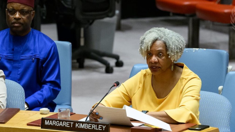 Margaret Kimberley, Executive Editor of Black Agenda Report, was invited to brief the United Nations Security Council. Photo Credit: webtv.un.org