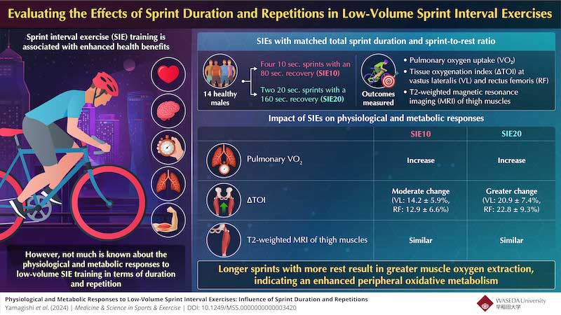 Sprint interval exercises can stimulate beneficial physiological and metabolic responses via the activation of muscles and increased oxygen uptake in tissues.