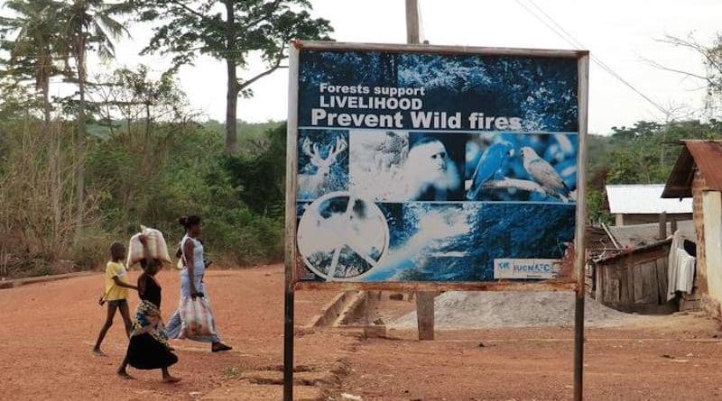 Fires in Africa’s wet, tropical forests have doubled in recent decades, a new Geophysical Research Letters study found. Although Africa is known as “the fire continent,” larger savanna and woodland fires often dominate the region’s fire narrative and research. The photo shows a common sign about the prevention of forest fires in Ghana. CREDIT: Michael Wimberly