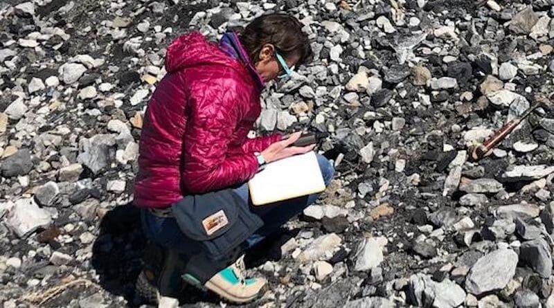 University of Utah geologist Lauren Birgenheier inspects samples at coal processing waste pile. CREDIT: Michael Vanden Berg, Utah Geological Survey