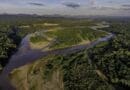 In the Nature's Stronghold of Madidi, Bolivia: Multiple jurisdictions with Tacana and Lecos de Apolo Indigenous Territories in the foreground, and across the Tuichi River, the Madidi National Park. CREDIT: Omar Torrico