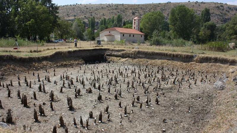 The pile field at the site of Dispilio. Almost 800 piles, mostly made of juniper and oak wood, were sampled and dendrochronologically measured. This data forms the basis for the high-precision dating of this site. Dispilio is the first archaeological site to be dated to a precise year using the Miyake event of 5259 BC. CREDIT: © Dispilio Excavation Archive
