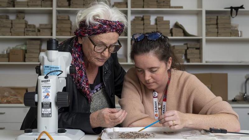 Professor Sue O’Connor (left) and Dr Shimona Kealy say the "major" migration to Timor Island was no accident. Photo: Jamie Kidston/ANU