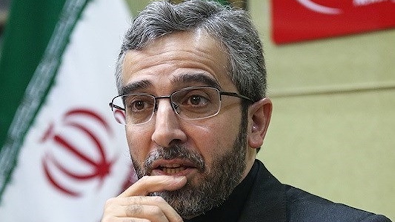 File photo of Iran's Ali Bagheri Kani. Photo Credit: Tasnim News Agency