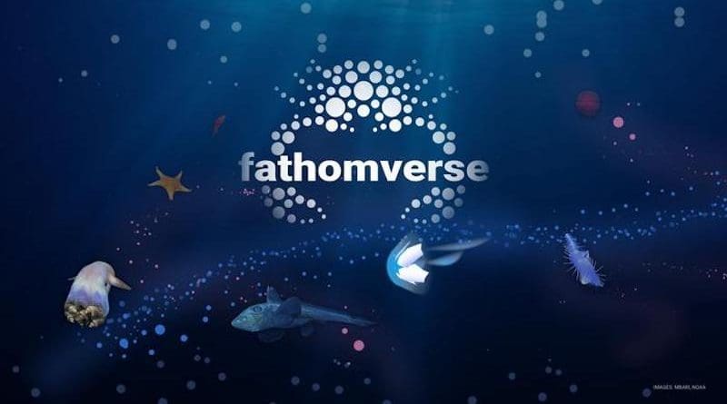 FathomVerse is a new mobile game available on the App Store and Google Play that seeks to inspire a new wave of ocean explorers. Featuring immersive imagery, engaging gameplay, and cutting-edge science, FathomVerse allows anyone with a smartphone or tablet to take part in ocean exploration and discovery. Image: © 2024 MBARI