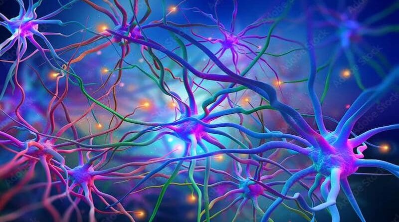 Neural networks of the human brain; a 3D illustration CREDIT: Lancaster University